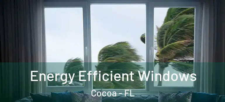  Energy Efficient Windows Cocoa - FL