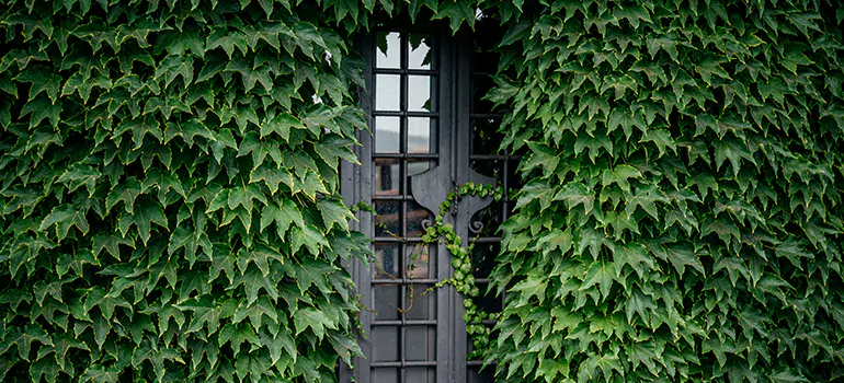 Garden Gate Repair in Cocoa, FL