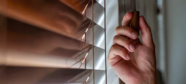 Double Roller Blinds in Cocoa, FL