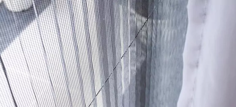 Fixing Screen Window Mesh in Cocoa, FL