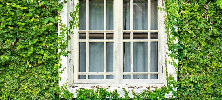 Garden Window Repair Near Me in Cocoa, FL