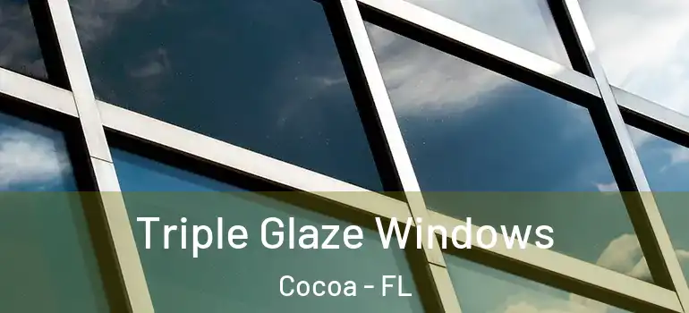  Triple Glaze Windows Cocoa - FL