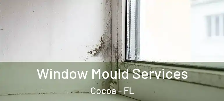  Window Mould Services Cocoa - FL